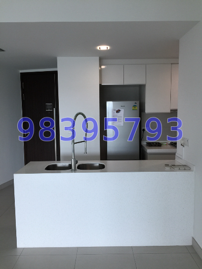 The Rochester Residences (D5), Apartment #41480372